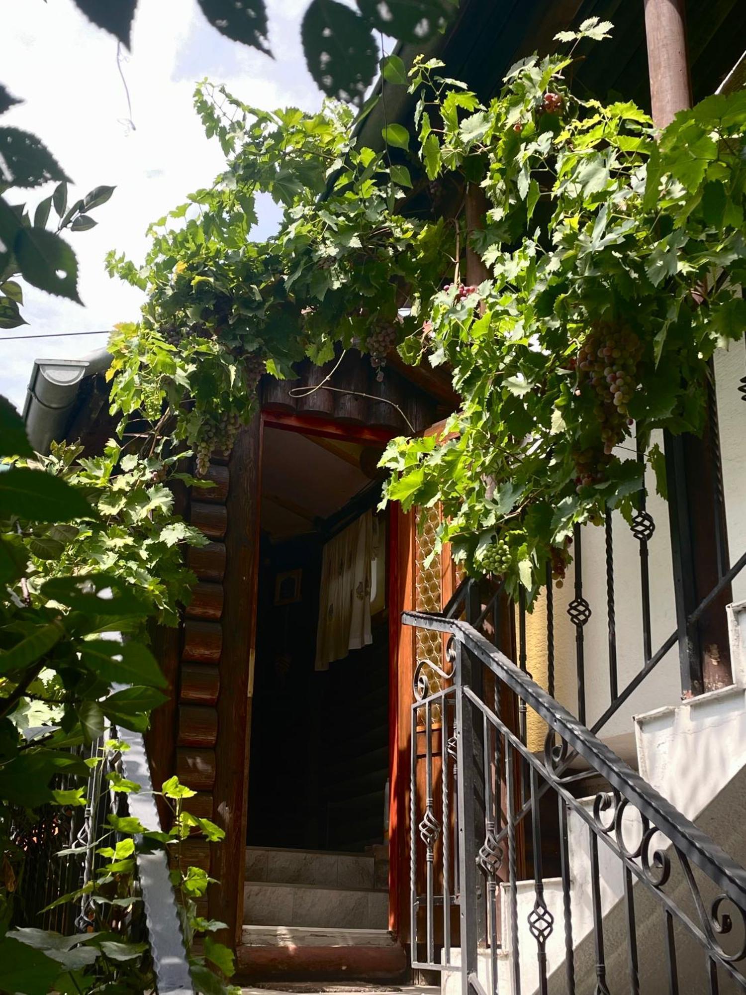 Apartment Jancic Σμεντέρεβο Εξωτερικό φωτογραφία