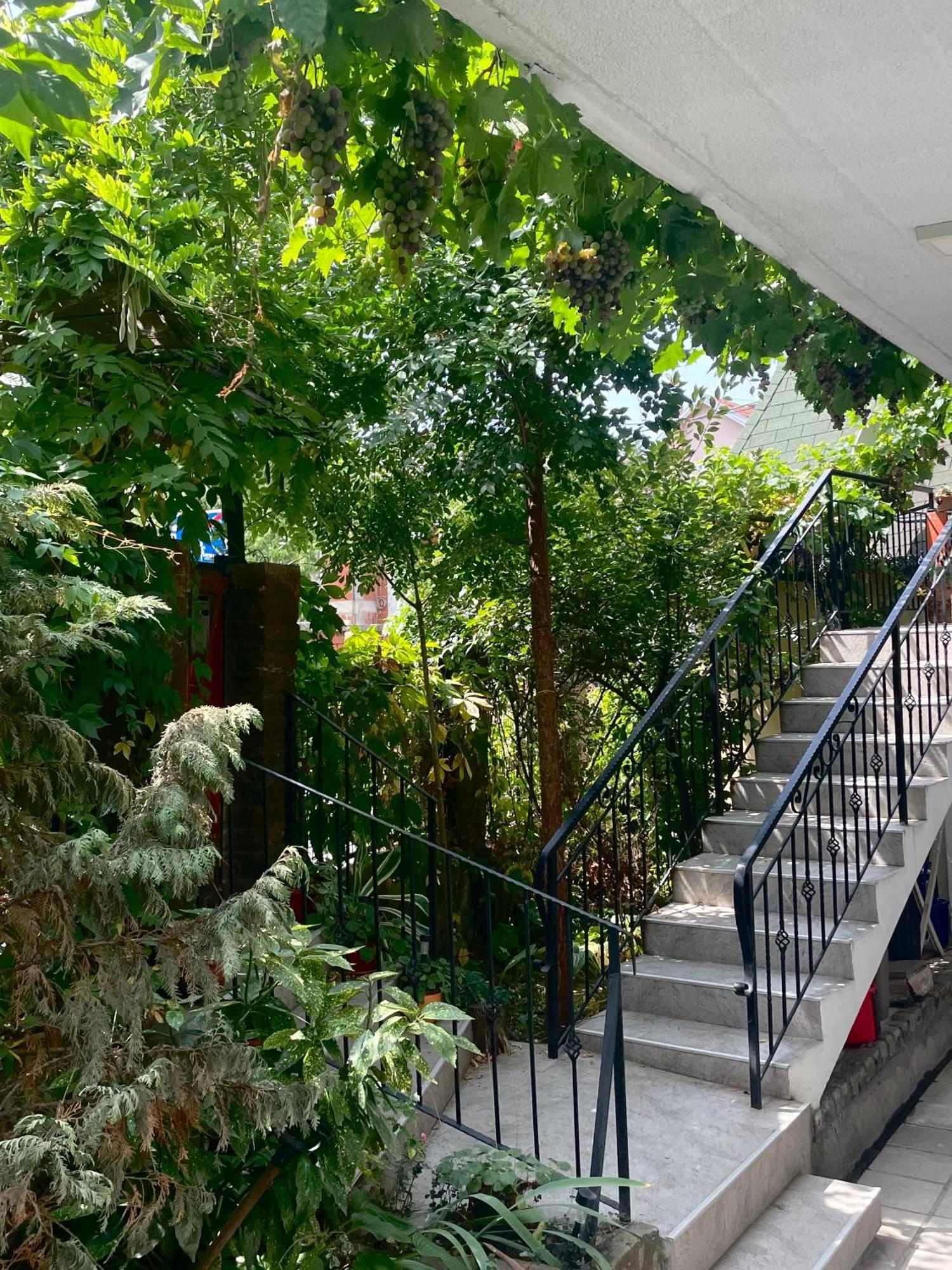 Apartment Jancic Σμεντέρεβο Εξωτερικό φωτογραφία